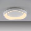 SCHÖNER WOHNEN-Kollektion MONTA LED modern semi-circle flush-mount ceiling light