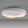 SCHÖNER WOHNEN-Kollektion MONTA LED modern semi-circle flush-mount ceiling light