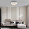 SCHÖNER WOHNEN-Kollektion MONTA LED modern semi-circle flush-mount ceiling light