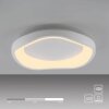 SCHÖNER WOHNEN-Kollektion MONTA LED modern semi-circle flush-mount ceiling light