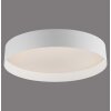 SCHÖNER WOHNEN-Kollektion LED TAVOLI flush-mount round ceiling light