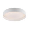 SCHÖNER WOHNEN-Kollektion LED TAVOLI flush-mount round ceiling light