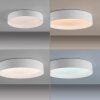 SCHÖNER WOHNEN-Kollektion LED TAVOLI flush-mount round ceiling light