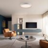 SCHÖNER WOHNEN-Kollektion TAVOLI LED round flush-mount ceiling light ø 49 cm