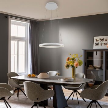 Schöner Wohnen-Kollektion QUILLO LED minimalist modern ring pendant light, Ø 60 cm