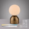 SCHÖNER WOHNEN-Kollektion RUDI globe LED table lamp with touch switch 3000-6000 K 140 lm 1.2 W
