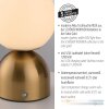 SCHÖNER WOHNEN-Kollektion RUDI globe LED table lamp with touch switch 3000-6000 K 140 lm 1.2 W