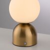 SCHÖNER WOHNEN-Kollektion RUDI globe LED table lamp with touch switch 3000-6000 K 140 lm 1.2 W