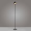 SCHÖNER WOHNEN-Kollektion BELLIS LED floor lamp, height-adjustable, touch switch, 3000K 320 lm 2.5W