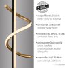 Leuchten Direkt LED Table Lamp Emanda with a brass spiral, warm white 3000 Kelvin