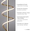 Leuchten Direkt modern LED floor lamp EMANDA with brass spiral, warm white 3000 Kelvin