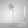 Leuchten Direkt LED Table Lamp BOTERIA, angled shade, adjustable, 3000 Kelvin warm white