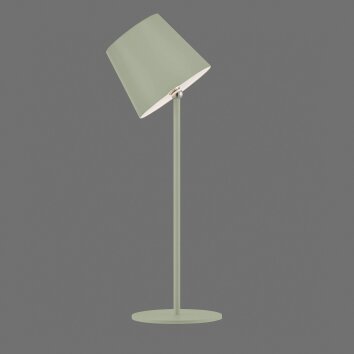 Leuchten Direkt LED table lamp BOTERIA, adjustable head, IP54, 3000 Kelvin warm white