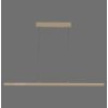 Paul Neuhaus LED pendant light ADRIANA, champagne, tunable 2700-5000 Kelvin, length 179 cm