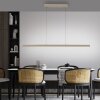Paul Neuhaus LED pendant light ADRIANA, champagne, tunable 2700-5000 Kelvin, length 179 cm