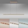 Paul Neuhaus LED pendant light ADRIANA, champagne, tunable 2700-5000 Kelvin, length 179 cm