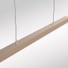 Paul Neuhaus LED pendant light ADRIANA, champagne, tunable 2700-5000 Kelvin, length 179 cm