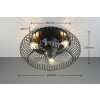 Reality Cage ceiling fan light Johanna, round metal grille, with remote control, 3 speeds
