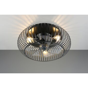 Reality Cage ceiling fan light Johanna, round metal grille, with remote control, 3 speeds