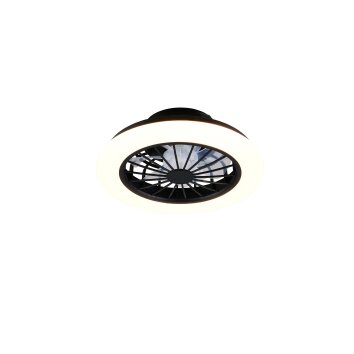 Reality LED ceiling fan light Rotsund, adjustable colour temperature 2700-6500 Kelvin