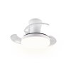 Reality LED ceiling fan light Tampere, adjustable colour temperature 2700-6500 Kelvin