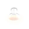 Reality LED ceiling fan light Boras, adjustable colour temperature 2700-6500 Kelvin