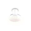 Reality LED ceiling fan light Boras, adjustable colour temperature 2700-6500 Kelvin