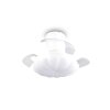 Reality LED ceiling fan light Boras, adjustable colour temperature 2700-6500 Kelvin
