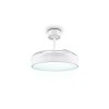 Reality LED ceiling fan light Kerava, adjustable colour temperature 2700-6500 Kelvin