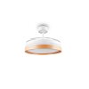 Reality LED ceiling fan light Volda, adjustable colour temperature 2700-6500 Kelvin