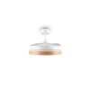 Reality LED ceiling fan light Volda, adjustable colour temperature 2700-6500 Kelvin