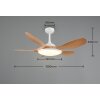 Reality LED ceiling fan Flen, adjustable colour temperature 2700-6500 Kelvin