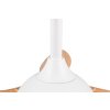Reality LED ceiling fan Flen, adjustable colour temperature 2700-6500 Kelvin