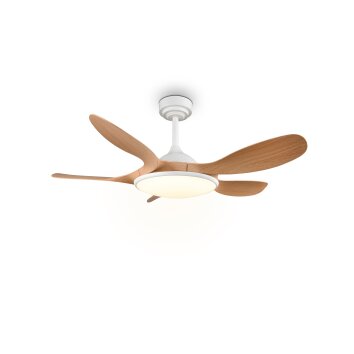 Reality LED ceiling fan Flen, adjustable colour temperature 2700-6500 Kelvin