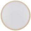 Brilliant LED ceiling light Alson, remote-dimmable, adjustable colour temp 3000-6500 Kelvin