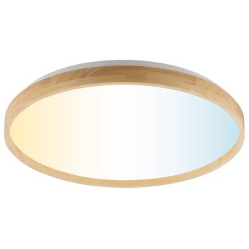 Brilliant LED ceiling light Alson, remote-dimmable, adjustable colour temp 3000-6500 Kelvin