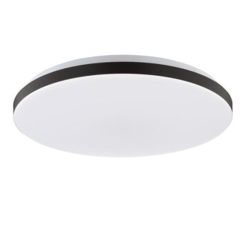 Brilliant Leuchten LED ceiling light Livio, flat round, with motion and dusk sensors