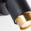Brilliant Wall spotlight Covelo, cylindrical swivel head, gold bezel, 3000 Kelvin warm white