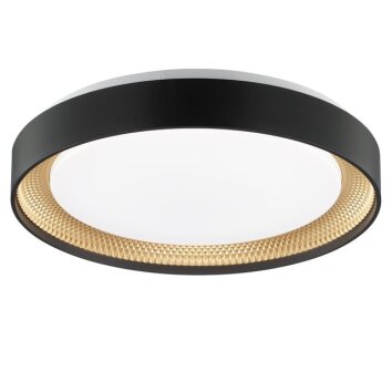 Brilliant Round LED Ceiling Light Waldo, adjustable colour temperature 3000-6500 Kelvin