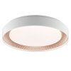 Brilliant LED ceiling light Waldo, remote-dimmable, adjustable light colour 3000-6500 Kelvin