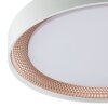 Brilliant LED ceiling light Waldo, remote-dimmable, adjustable light colour 3000-6500 Kelvin