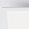 Brilliant LED ceiling panel Trevis with a flat white face, 4000 Kelvin neutral white