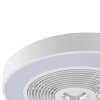 Brilliant LED ceiling fan Catania, adjustable colour temperature 2700-6500 Kelvin