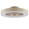 Brilliant flat LED ceiling fan Catania, adjustable colour temperature 2700-6500 Kelvin
