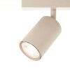 Brilliant ceiling spotlight Jello, 3 rotating heads, champagne, 3000 Kelvin warm white