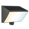 Brilliant LED Solar Wall Light Sierra, black, adjustable light colour 2700-6500 Kelvin