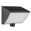 Brilliant LED Solar Wall Light Sierra, black, adjustable light colour 2700-6500 Kelvin