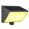 Brilliant LED Solar Wall Light Sierra, black, adjustable light colour 2700-6500 Kelvin