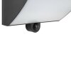Brilliant LED Solar Wall Light Sierra, black, adjustable light colour 2700-6500 Kelvin