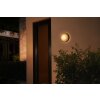 Philips Hue White & Color Ambiance Daylo Wall Light LED black, 1-light source